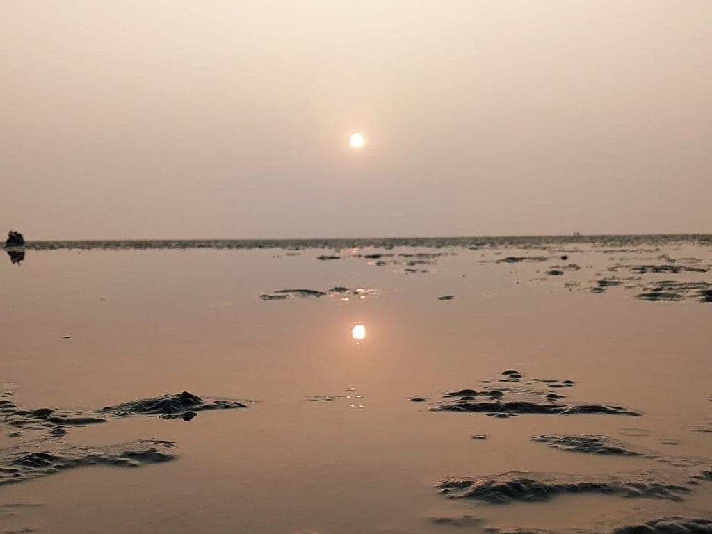 Chandipur Sea Beach, Balasore